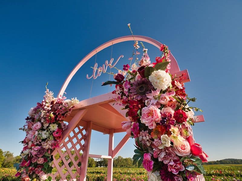 How Holland Ridge Farms Turned a Day Trip Into a Seasonal Tradition