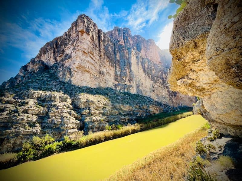 Wildlife And Desert Blooms