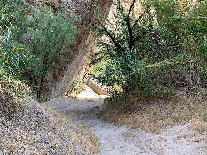 Why This Short Hike Steals The Show