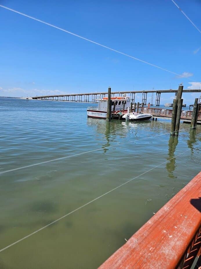 The Sunset Views at This Texas Seafood Spot Might Steal the Show Seagulls, Breeze, And Bird Etiquette