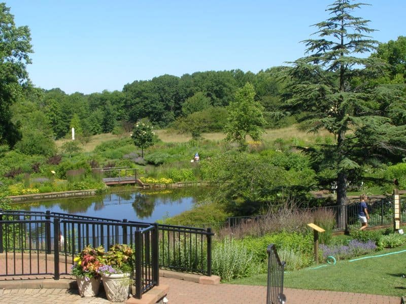 These Beautiful Ohio Spring Destinations Feel Extra Special In 2026 Holden Arboretum, Kirtland, Ohio