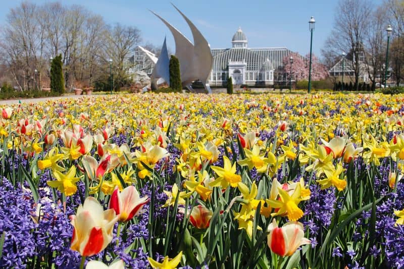These Beautiful Ohio Spring Destinations Feel Extra Special In 2026 Franklin Park Conservatory and Botanical Gardens, Columbus, Ohio