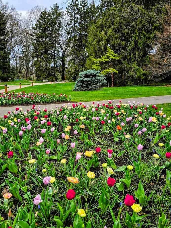 This 123-Acre Garden In Ohio Feels Like Stepping Into A Jane Austen Novel Seasonal Blooms and Pollinator Paradise