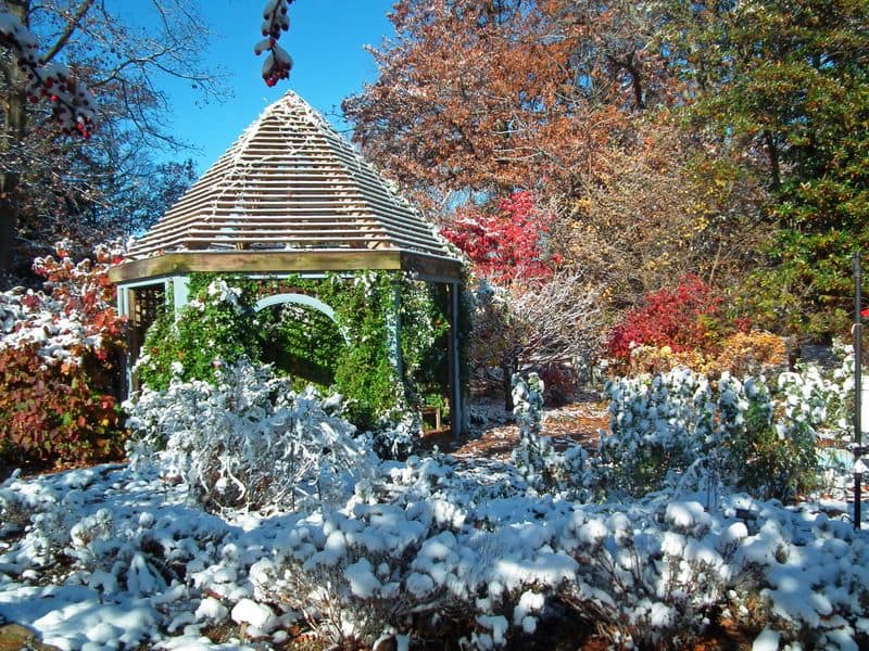 This 123-Acre Garden In Ohio Feels Like Stepping Into A Jane Austen Novel Planning Your Visit Like a Pro