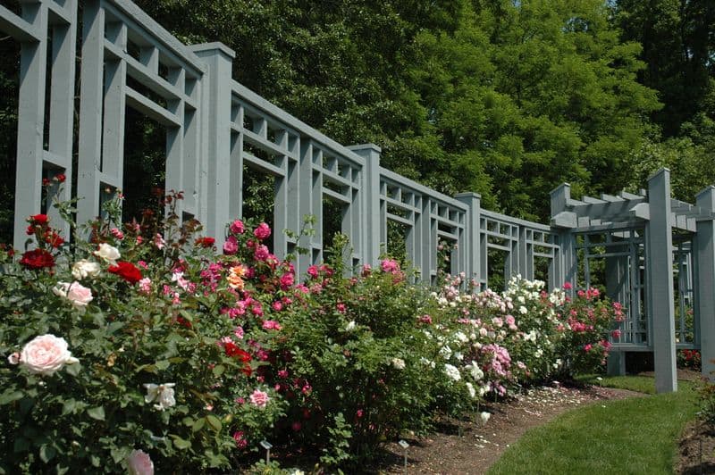 This 123-Acre Garden In Ohio Feels Like Stepping Into A Jane Austen Novel The Formal Rose Garden Promenade