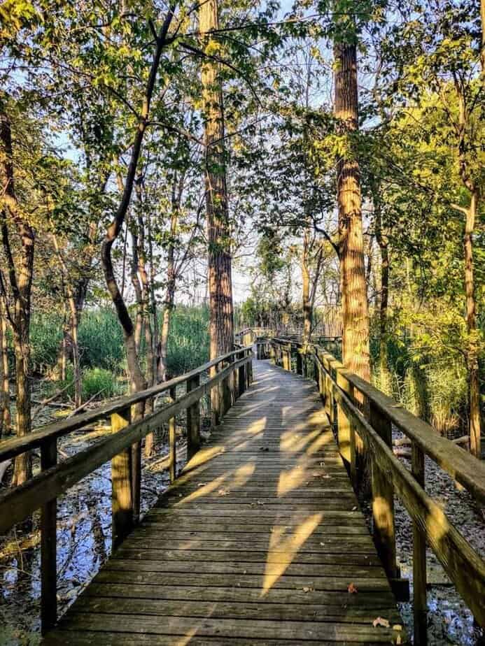 Boardwalk Trail and Nature Center