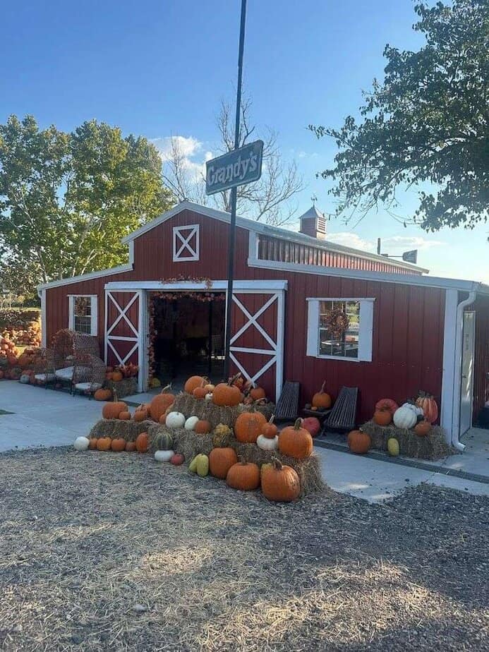 Pumpkin Patch And Photo Spots