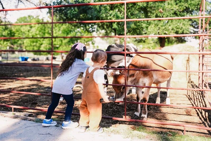 Plan Your Visit - Hours, Prices, Tips