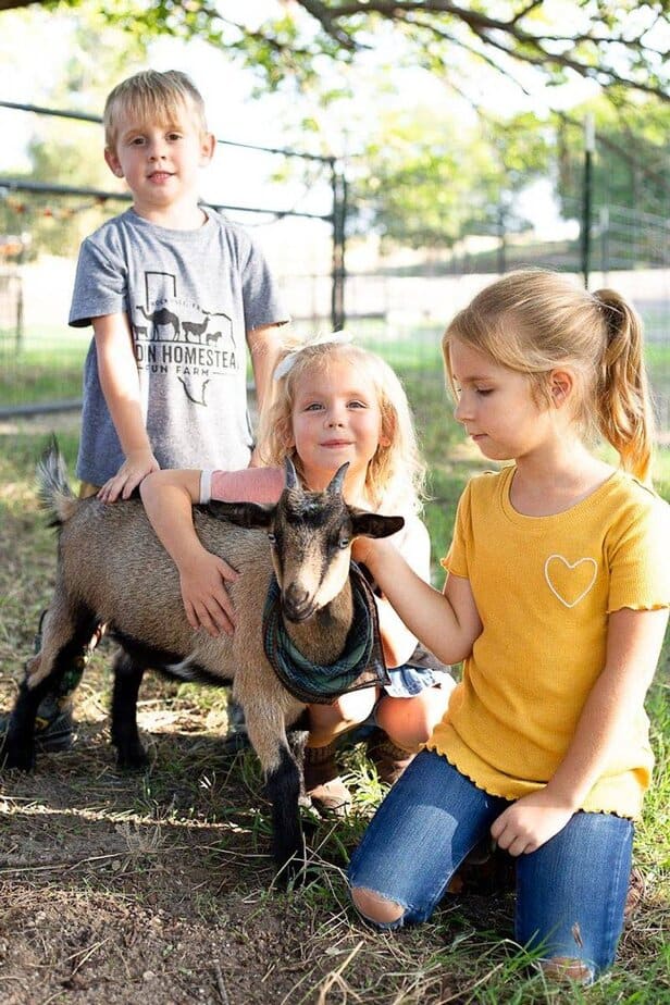 Parties And Group Events