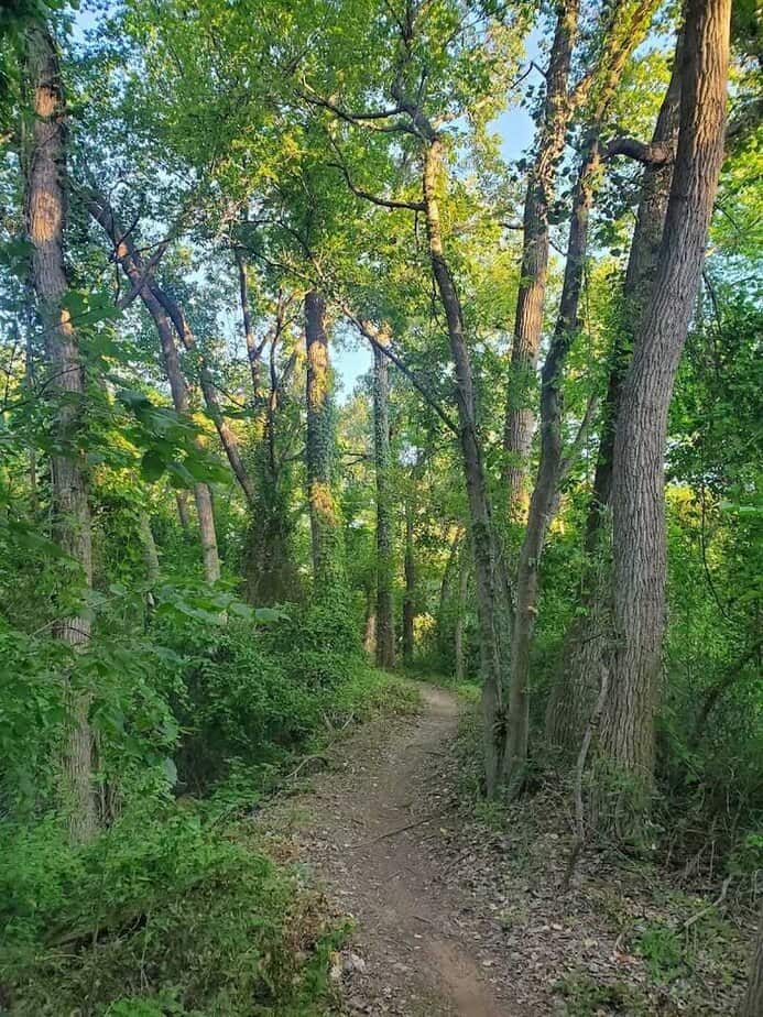 Dirt Singletrack for Mountain Biking and Hikes