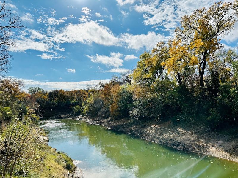 Birding Hotspots and Seasonal Surprises