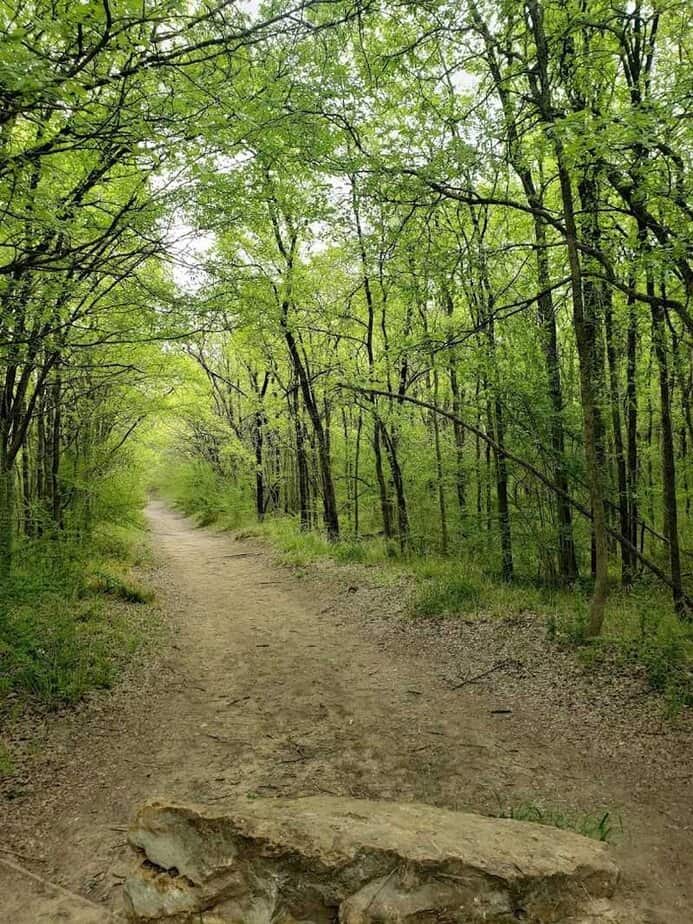 Quiet Hours and Practical Tips