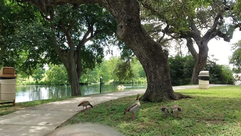 Picnic Pavilions and BBQ
