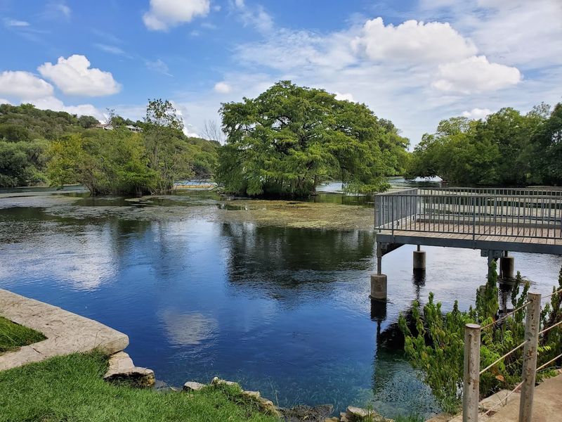 Comal Springs Overlook