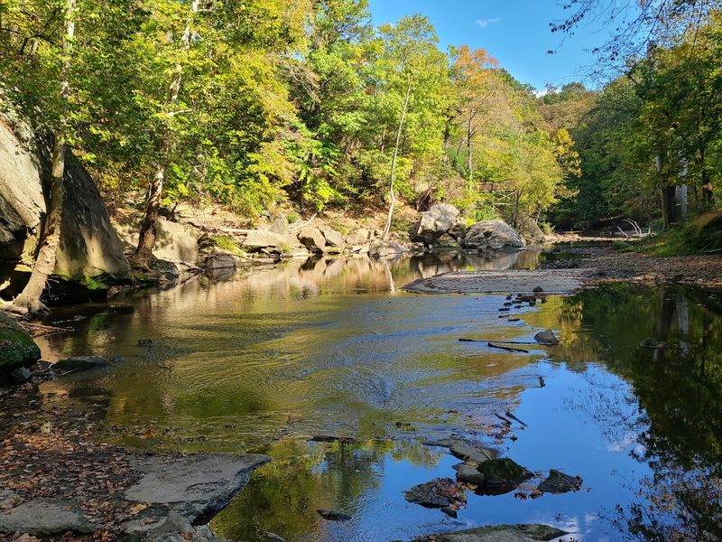 This 2,900-Acre State Park In Ohio Remains A Mystery To Many People Wildlife Watching Along the River