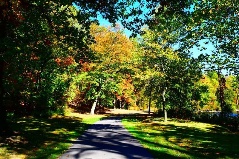 This 2,900-Acre State Park In Ohio Remains A Mystery To Many People Seasonal Beauty and Best Times to Go