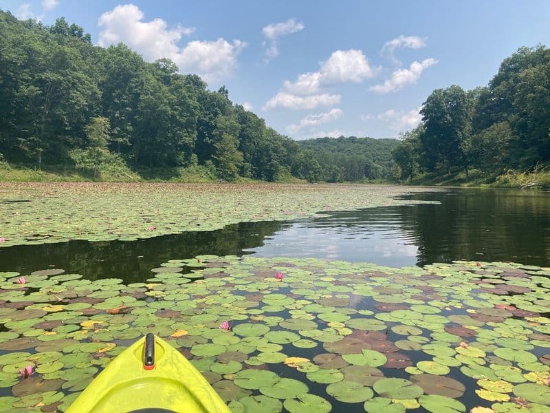 Paddling Lake Hope