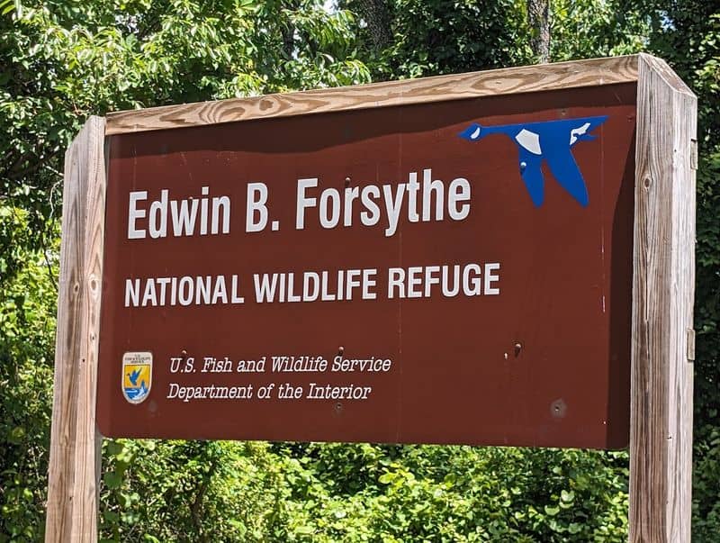 How This South Jersey Refuge Protects More Than Birds