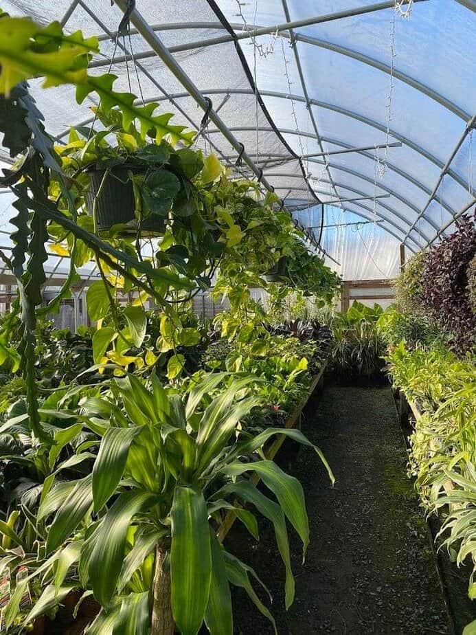 Photo Spots, Birds, and Handy Amenities