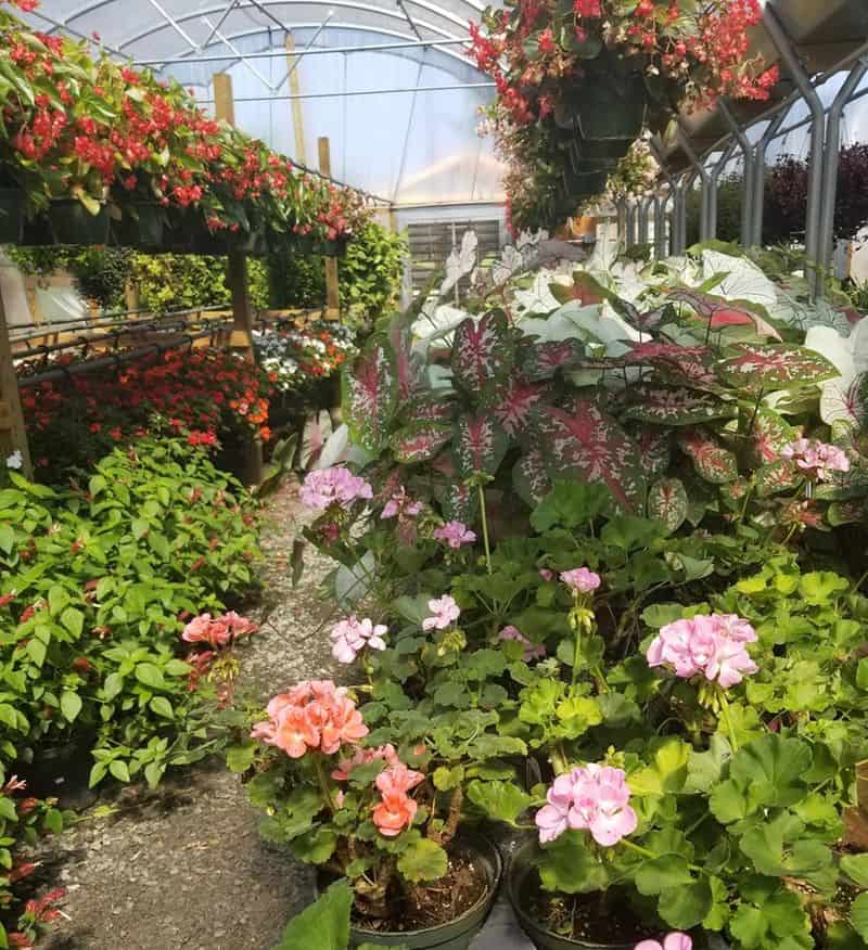 A Warm Texas Welcome and Easy Hours