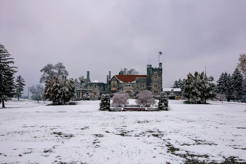 Holidays and Seasonal Vibes