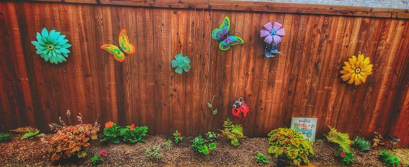 Public Art and Murals