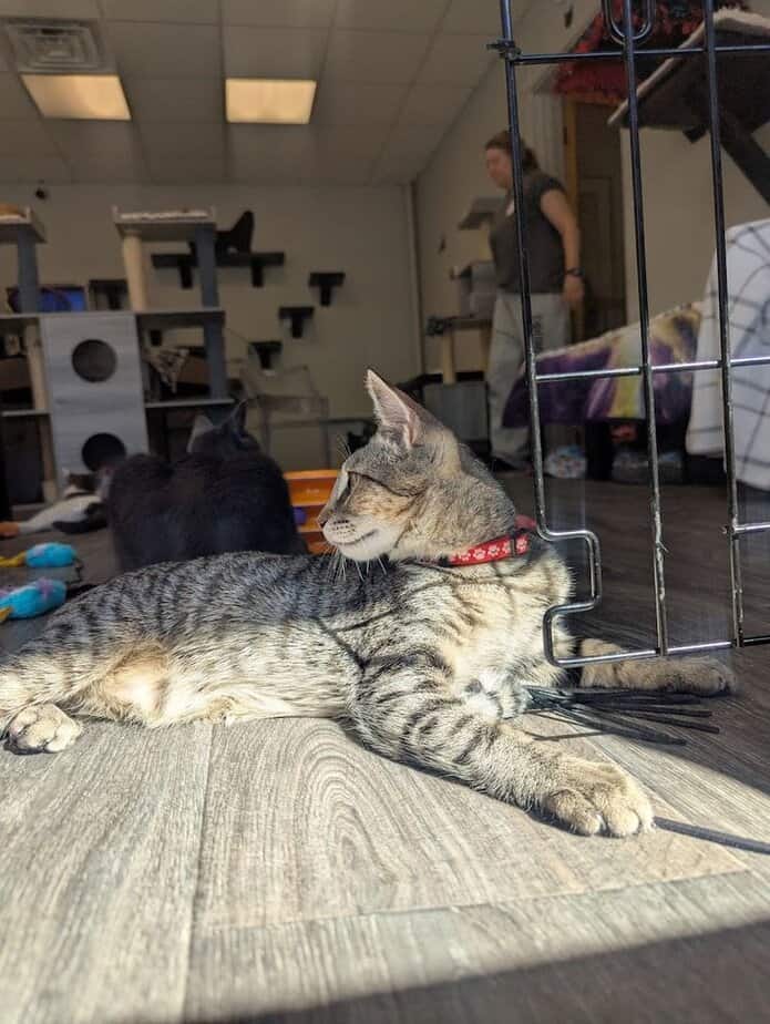 How This Rahway Spot Turns a Weekend Outing Into Something Memorable