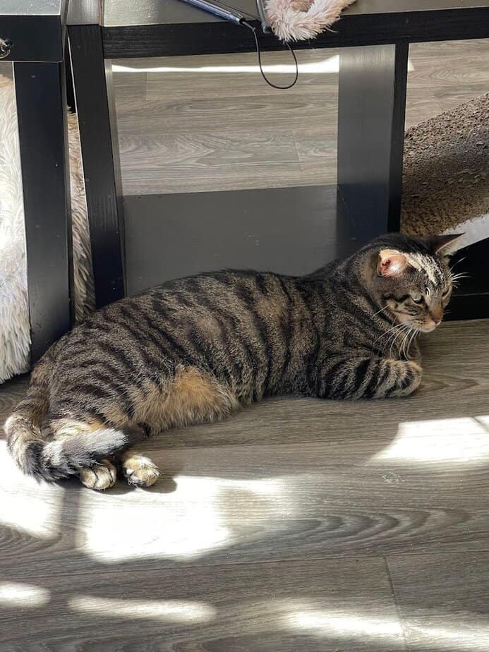 The Cozy Details That Make the Lounge Feel More Like a Living Room