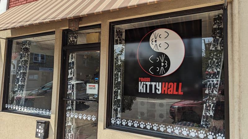 Why Rahway Kitty Hall Feels More Relaxing Than Your Usual Coffee Run