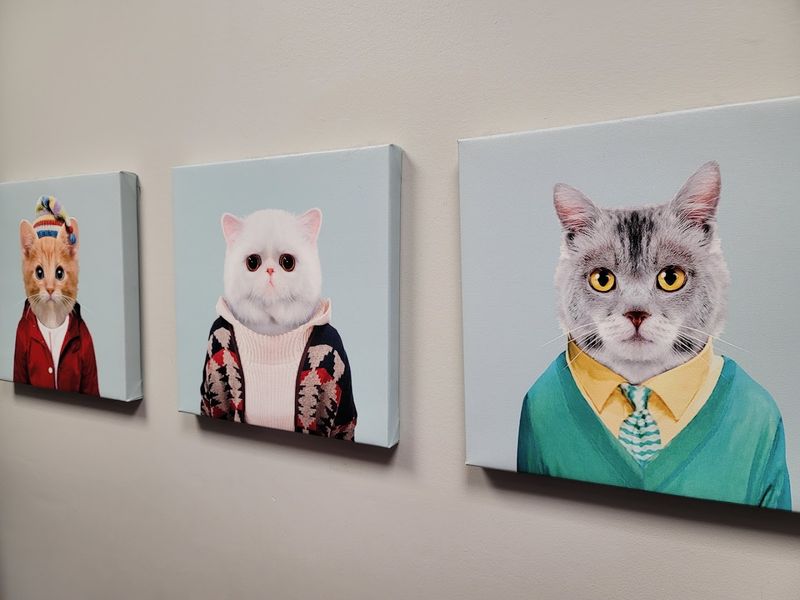 The Little Next-Door Latte Setup That Makes This Place So Charming