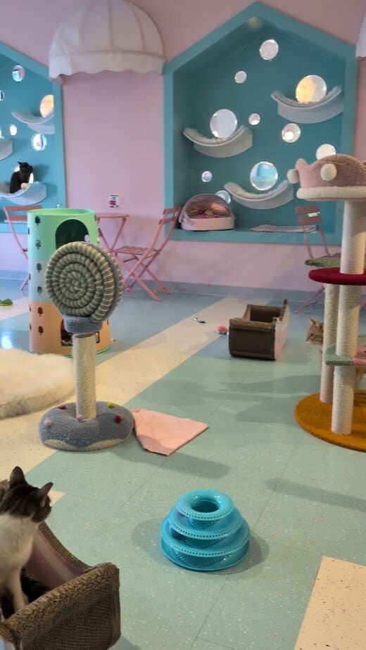 Cleanliness and Comfort