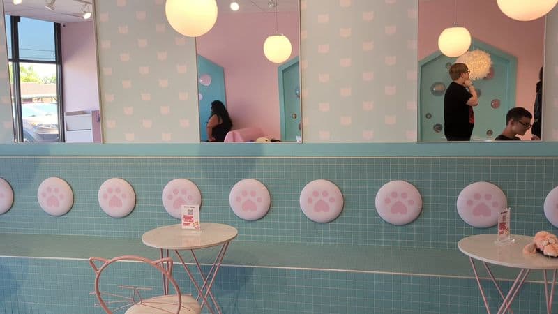 Events and Special Outings