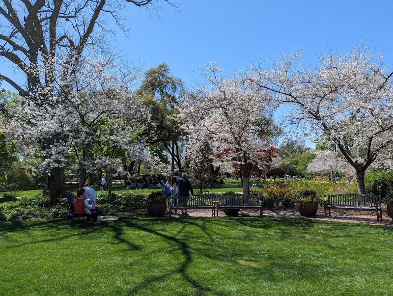 Cherry Blossom All&eacute;e Moments