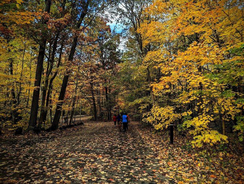 Seasonal Highlights and Best Timing