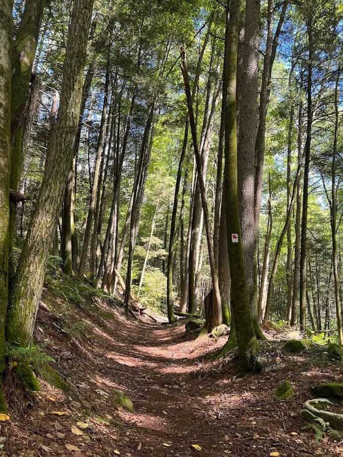 The Easy Trail That Delivers Big Scenery Without a Long Trek