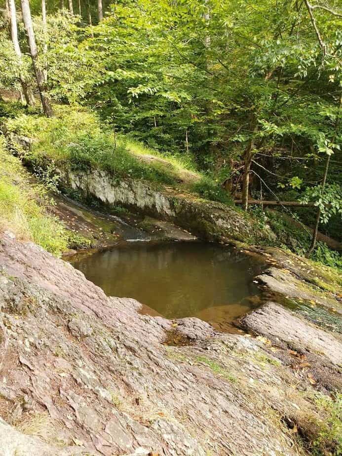 What Makes the Teacup So Memorable Once You See It in Person