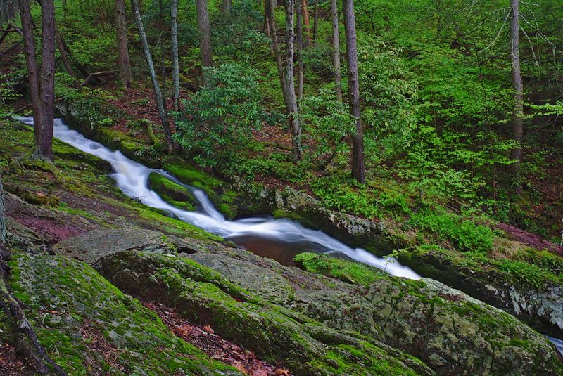 The Mossy Gorge and Stream Views That Make This Hike Feel Magical