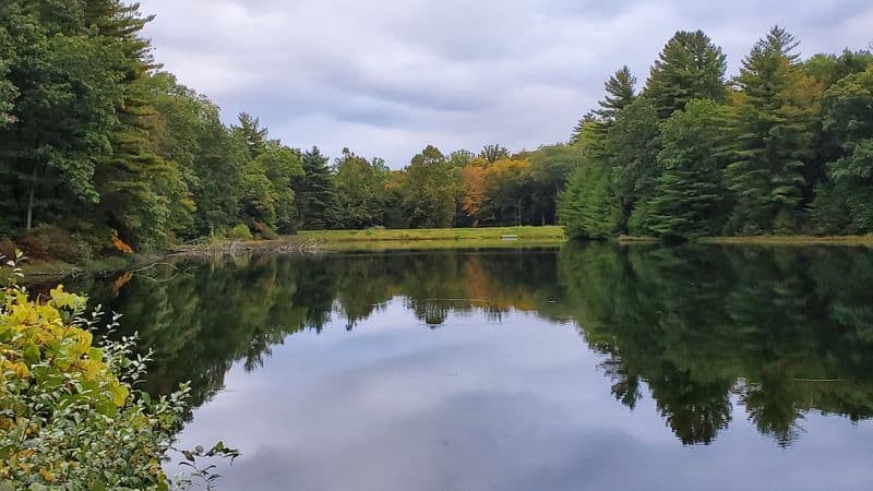 What to Know Before You Go to Tillman Ravine