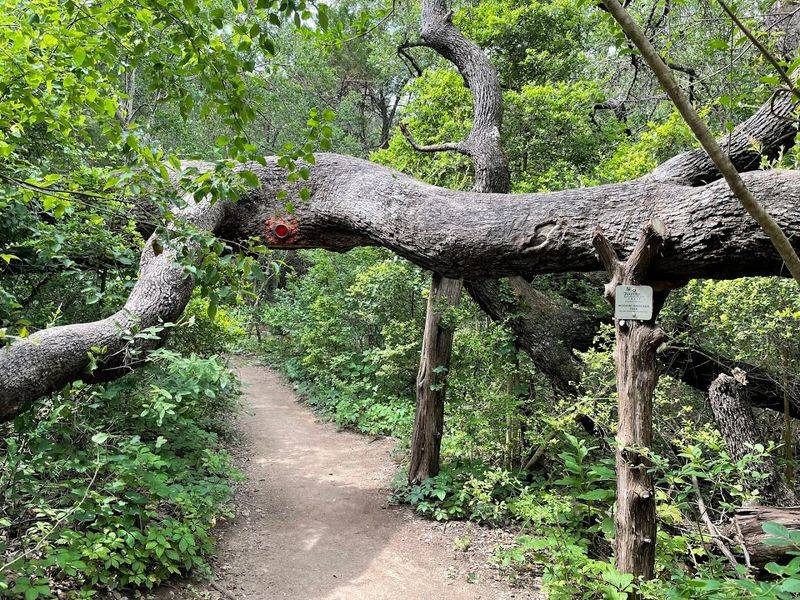 Best Times, Fees, and Trail Etiquette