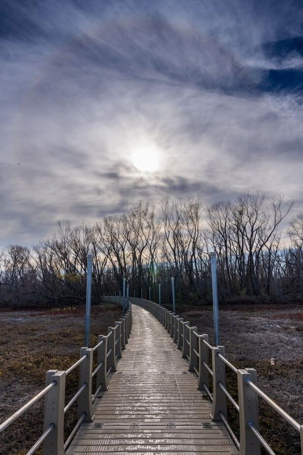 This Floating Boardwalk Hike in Texas Feels Almost Too Beautiful to Be Real What The Floating Boardwalk Feels Like