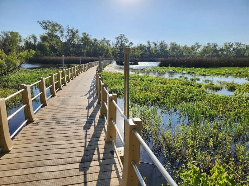 This Floating Boardwalk Hike in Texas Feels Almost Too Beautiful to Be Real Best Time To Visit