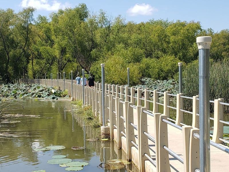 This Floating Boardwalk Hike in Texas Feels Almost Too Beautiful to Be Real Safety, Etiquette, And Conditions