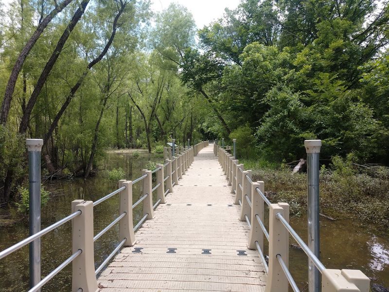 This Floating Boardwalk Hike in Texas Feels Almost Too Beautiful to Be Real Photography Tips And Vantage Points