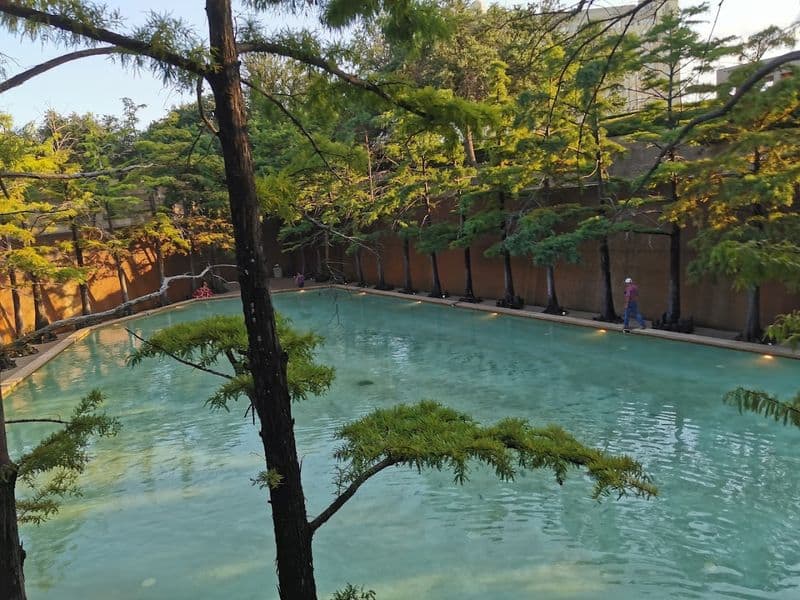 The Quiet Pool Oasis