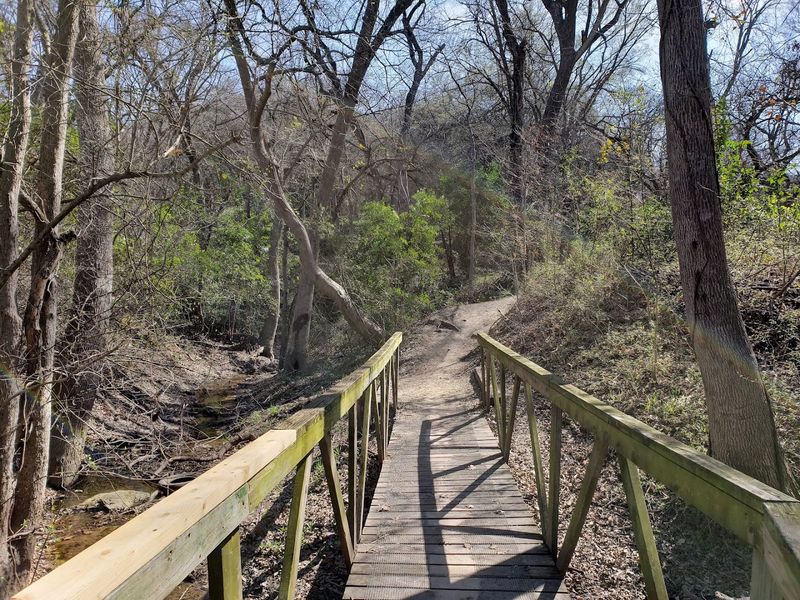 Mountain Biking Trails Network