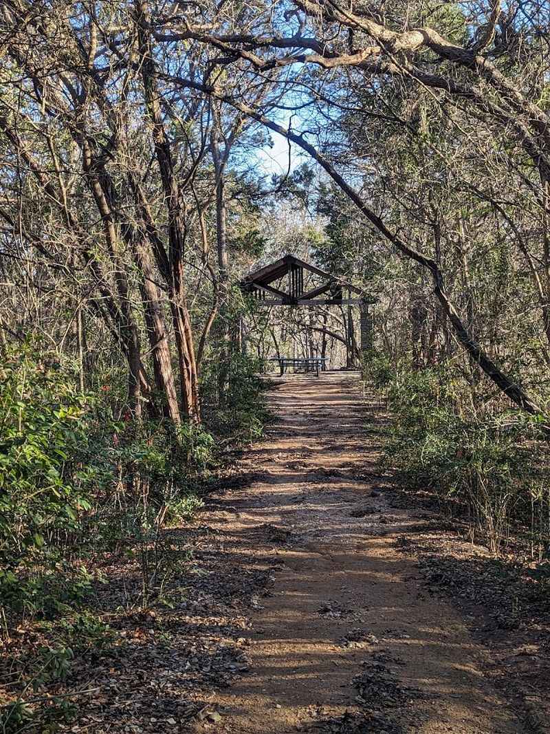 Hidden Bamboo Nook and Shady Paths