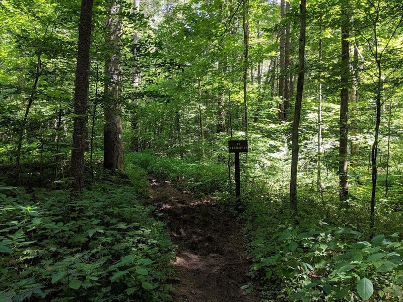 Practical Tips For A Hidden-Gem Escape