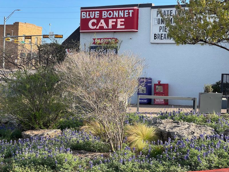 This Gorgeous Texas Town Is Shockingly Affordable and Still Undiscovered Blue Bonnet Cafe Pie Pilgrimage
