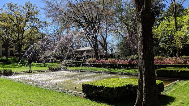 Make It A Perfect Afternoon