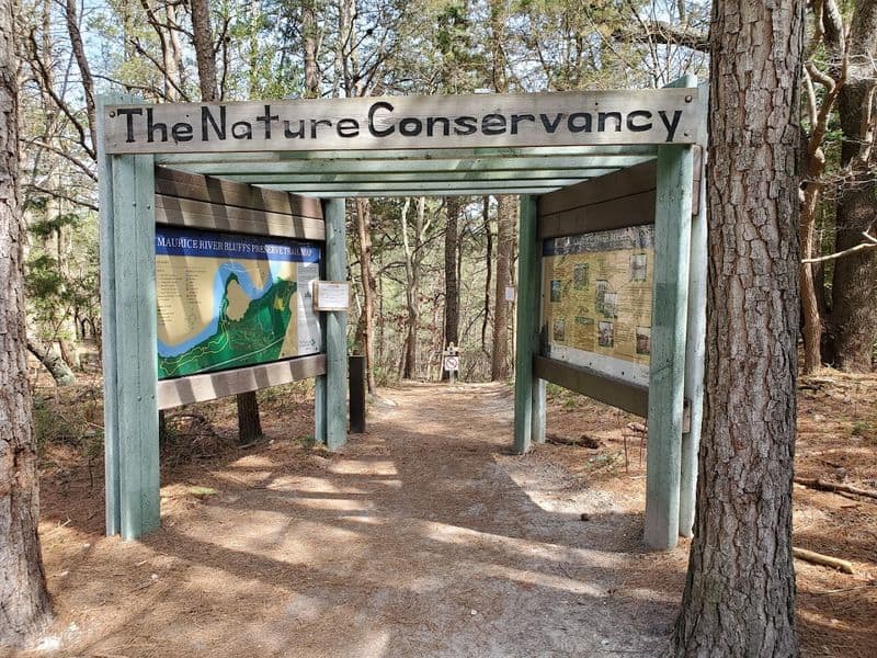 Why Maurice River Bluffs Deserves a Spot on Every New Jersey Bucket List